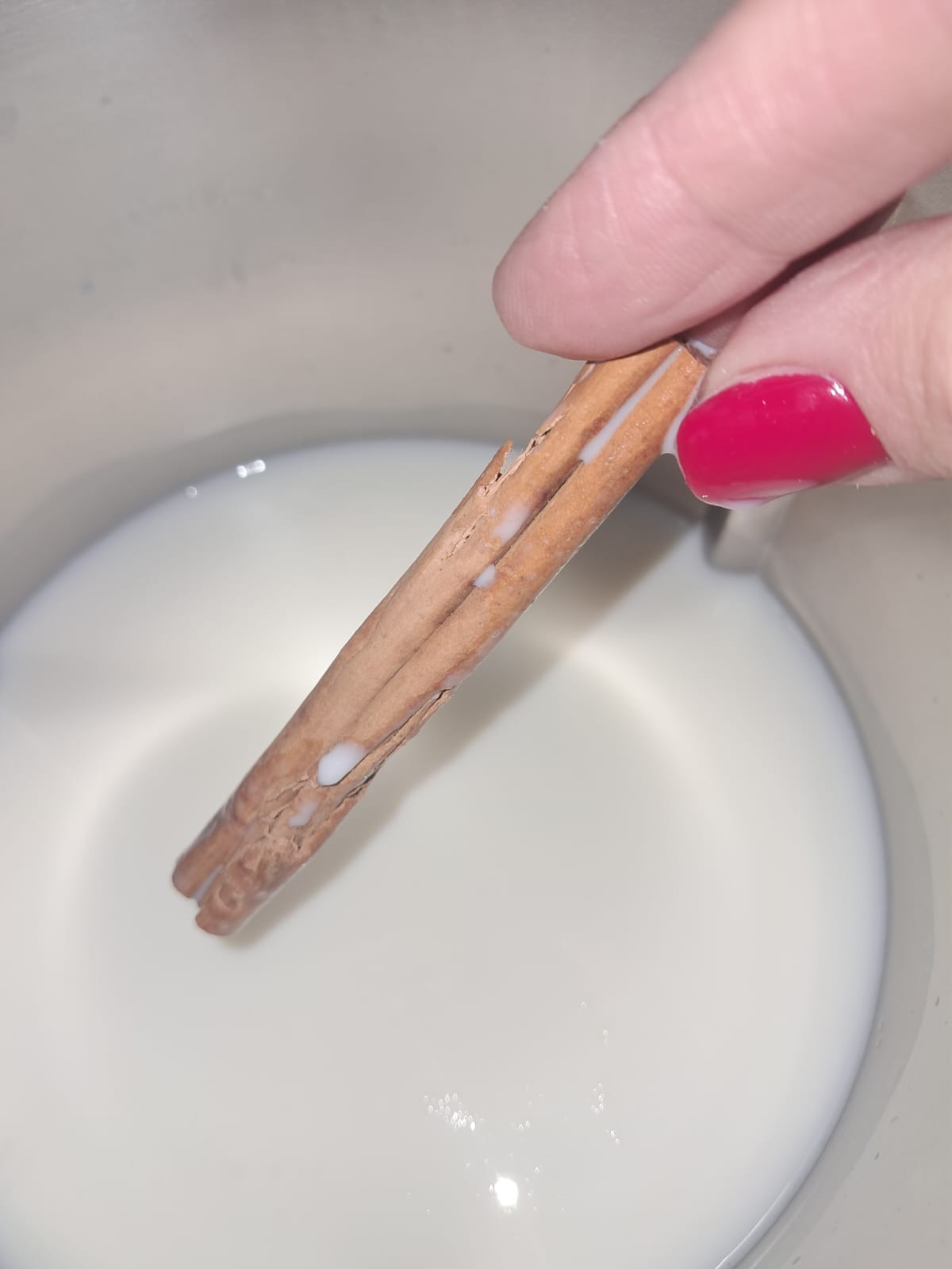 RECETA DE TORRIJAS PASO A PASO CANELA.jpeg